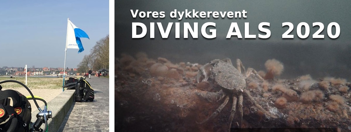 Diving-Als-2020