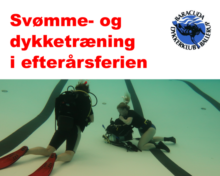 ingen-svomme-og-dykketraening-i-efterarsferien