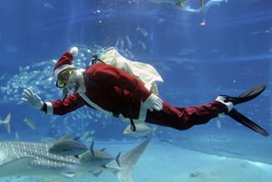 scuba-santa-2