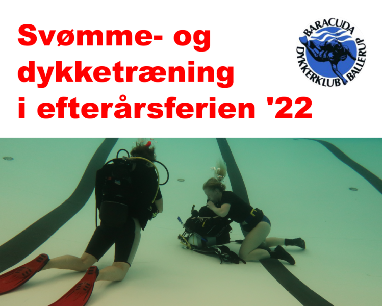 svomme-og-dykketraening-i-efterarsferien-2022