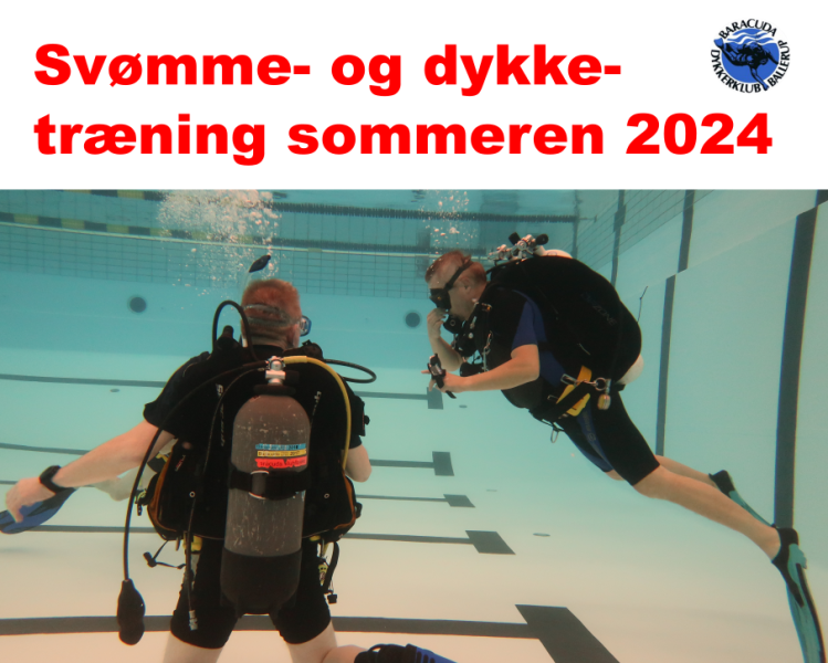 svomning-i-sommerferien-2024-1
