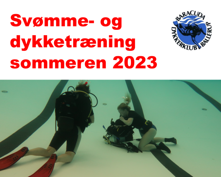 svomning-i-sommerferien-2028